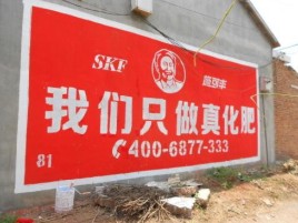 平顶山刷墙广告”蕴含了时代命题