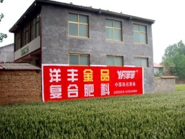 平顶山如何让墙体广告展现最大化效果