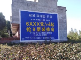 平顶山品牌公司青睐的墙体广告