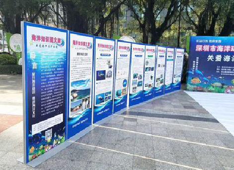 平顶山KT板的种类和知识。